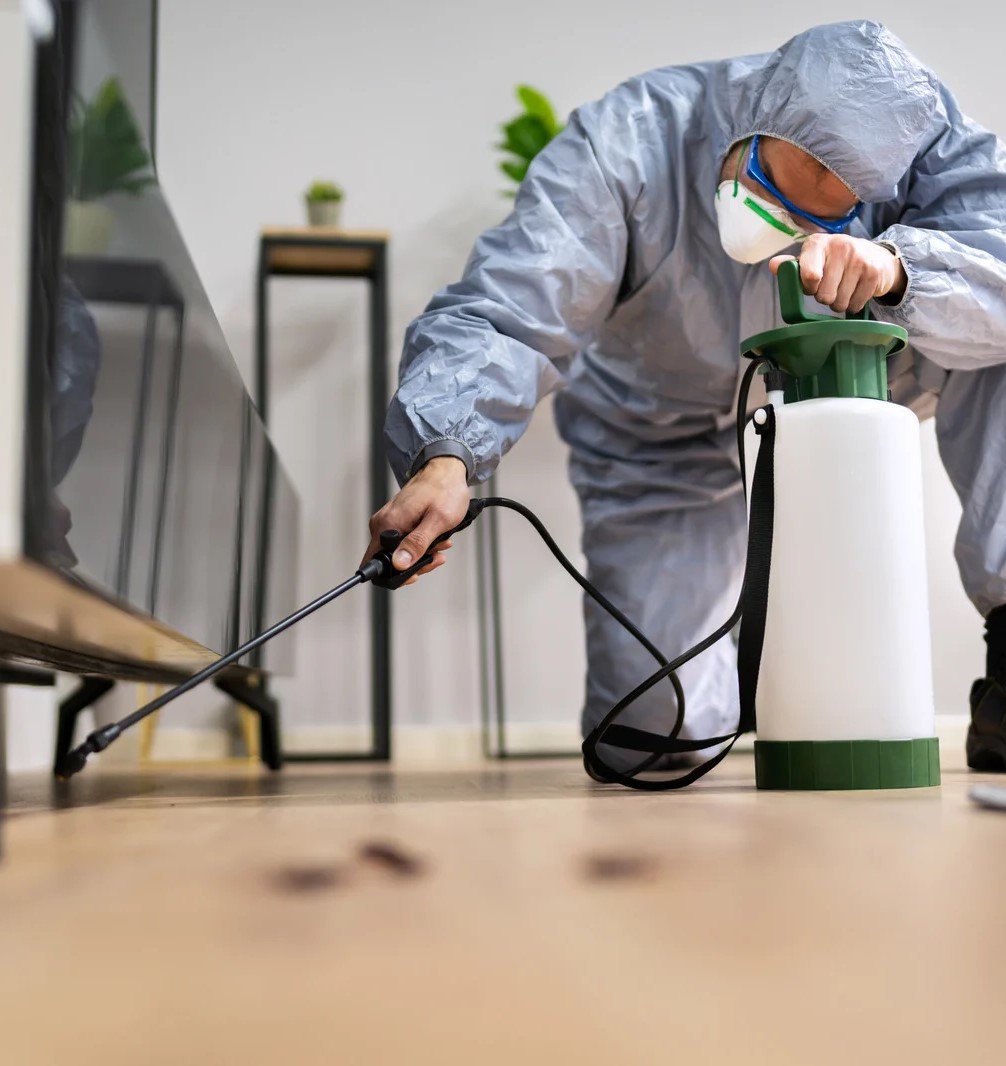 عن امجن الالمانيه