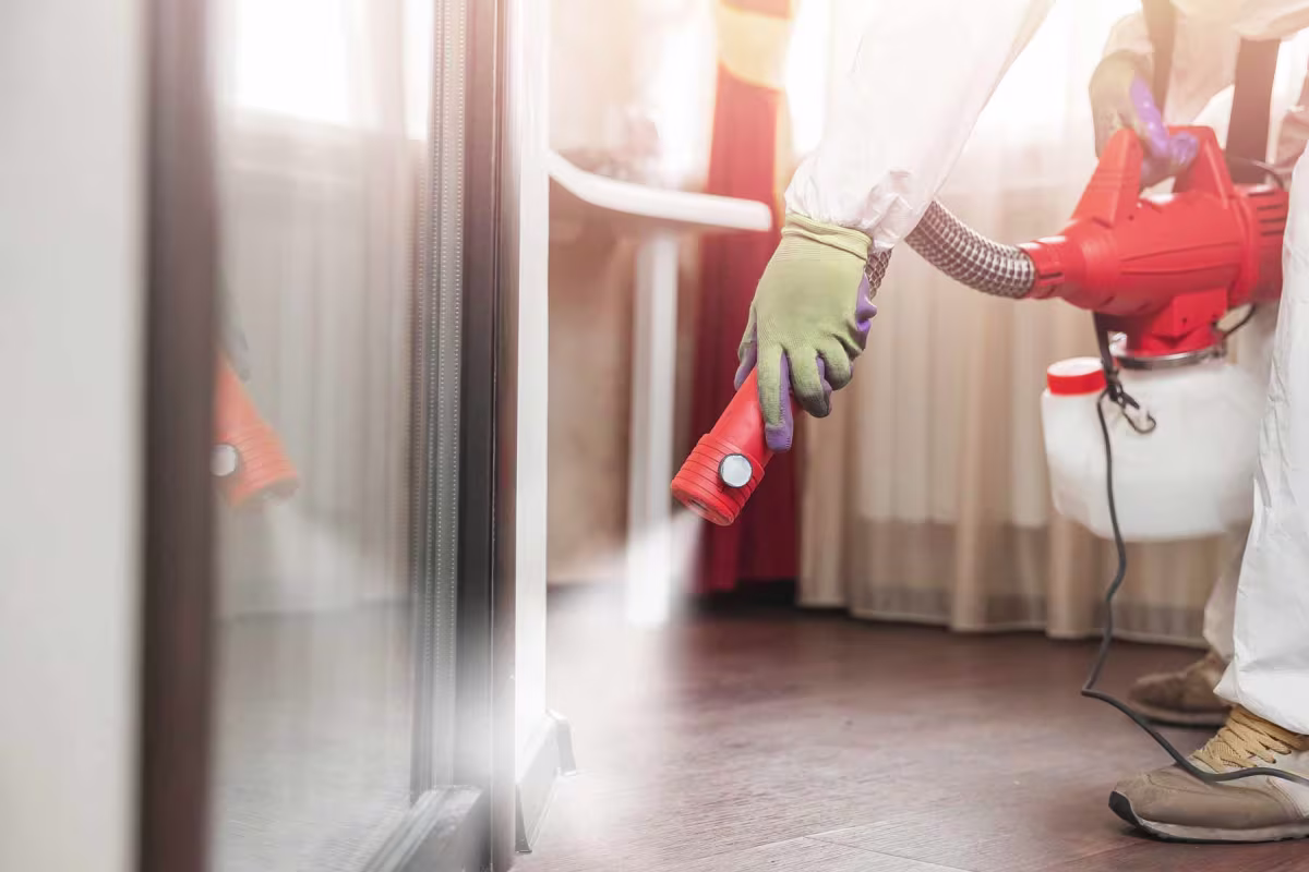 مكافحة البراغيث والعناكب